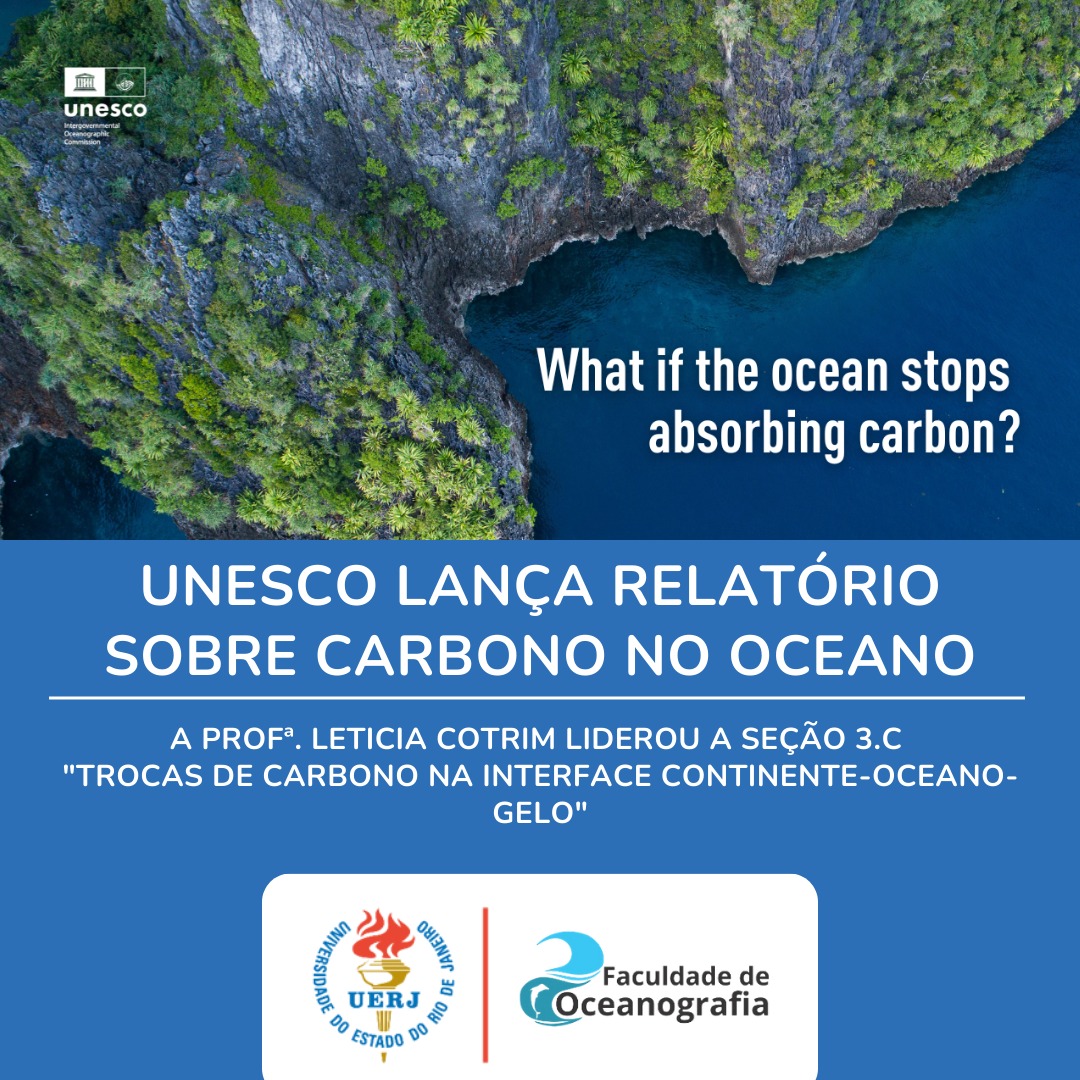 Professora Letícia Cotrim lidera a secão 3C 